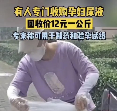 有人收购孕妇尿液每公斤12元，孕妇尿液有什么用吗？你怀孕的话会卖吗？