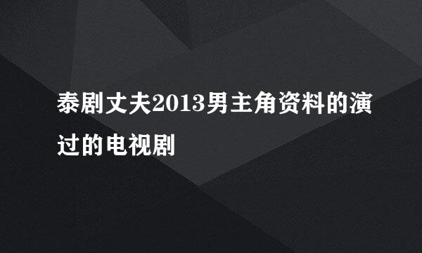 泰剧丈夫2013男主角资料的演过的电视剧