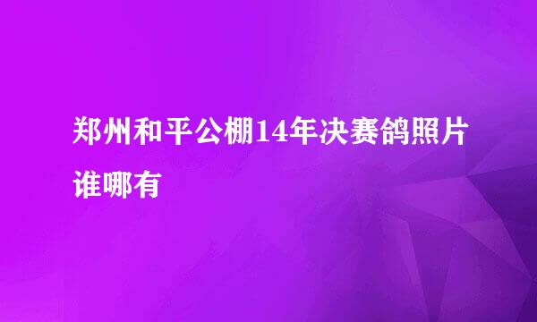 郑州和平公棚14年决赛鸽照片谁哪有