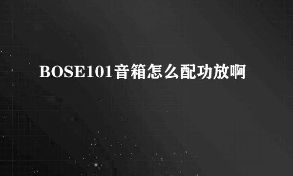 BOSE101音箱怎么配功放啊