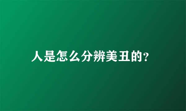 人是怎么分辨美丑的？