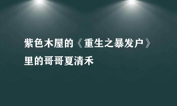 紫色木屋的《重生之暴发户》里的哥哥夏清禾