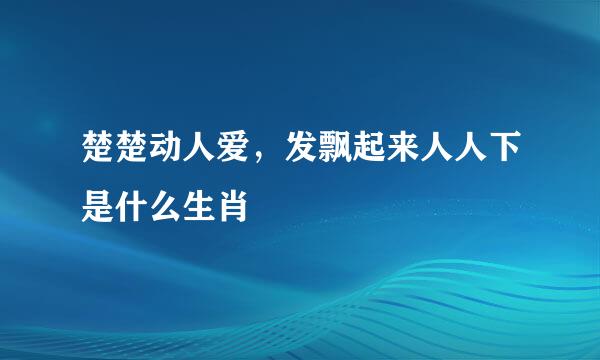 楚楚动人爱，发飘起来人人下是什么生肖