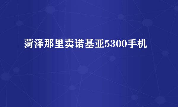 菏泽那里卖诺基亚5300手机