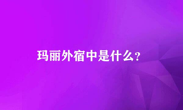 玛丽外宿中是什么？