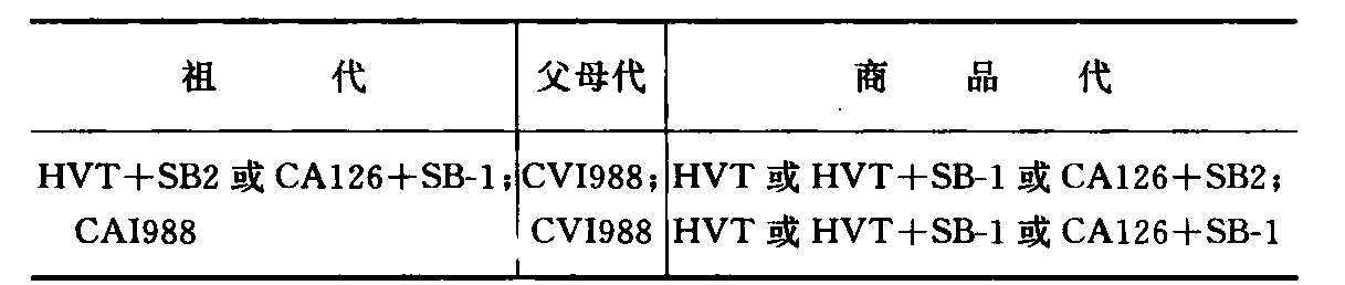 防治马立克氏病要注意哪些问题？