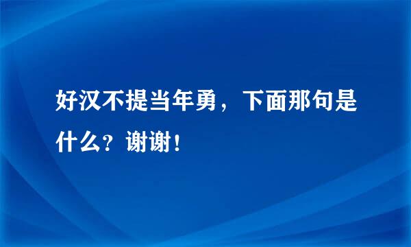 好汉不提当年勇，下面那句是什么？谢谢！