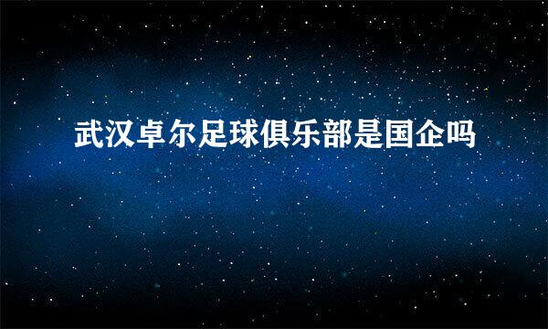 武汉卓尔足球俱乐部是国企吗