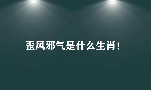 歪风邪气是什么生肖！