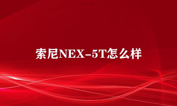 索尼NEX-5T怎么样