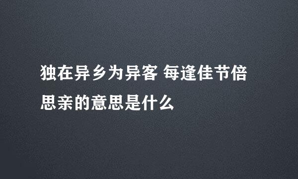 独在异乡为异客 每逢佳节倍思亲的意思是什么