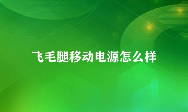 飞毛腿移动电源怎么样