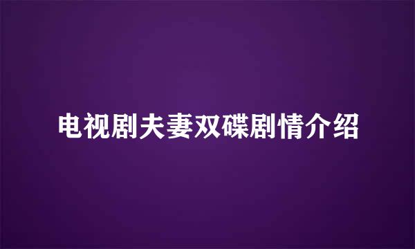 电视剧夫妻双碟剧情介绍