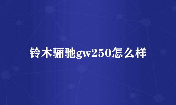 铃木骊驰gw250怎么样