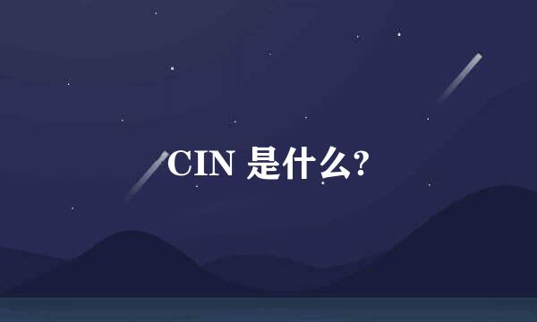 CIN 是什么?