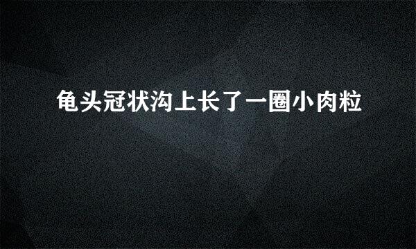 龟头冠状沟上长了一圈小肉粒