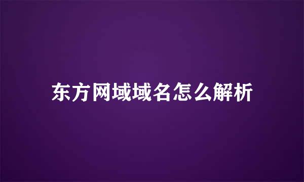 东方网域域名怎么解析