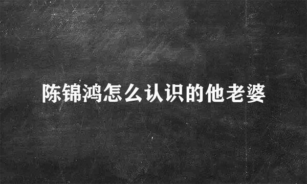 陈锦鸿怎么认识的他老婆