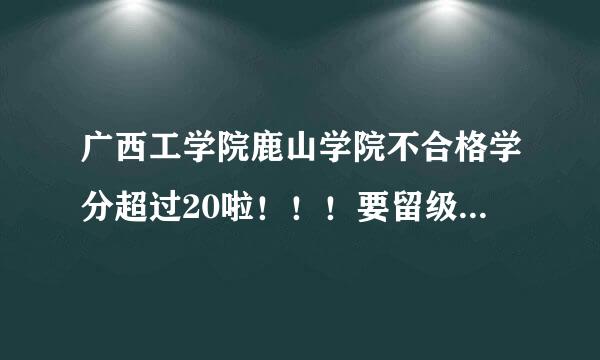 广西工学院鹿山学院不合格学分超过20啦！！！要留级吗。。有什么办法补救。。