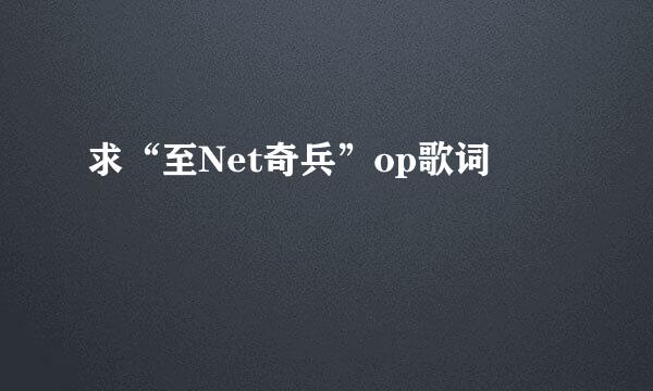 求“至Net奇兵”op歌词