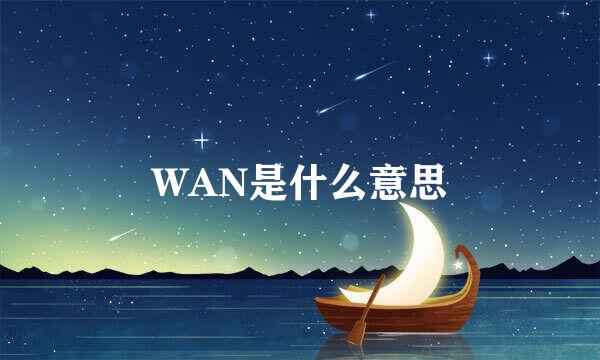 WAN是什么意思