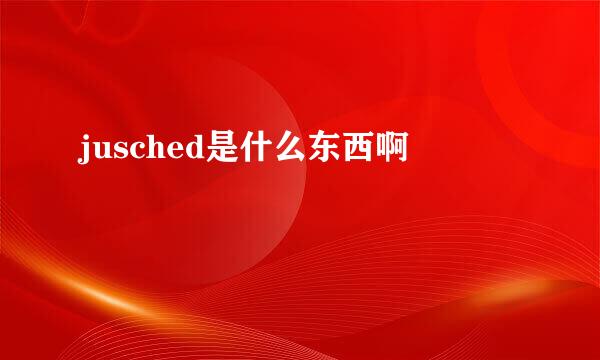 jusched是什么东西啊