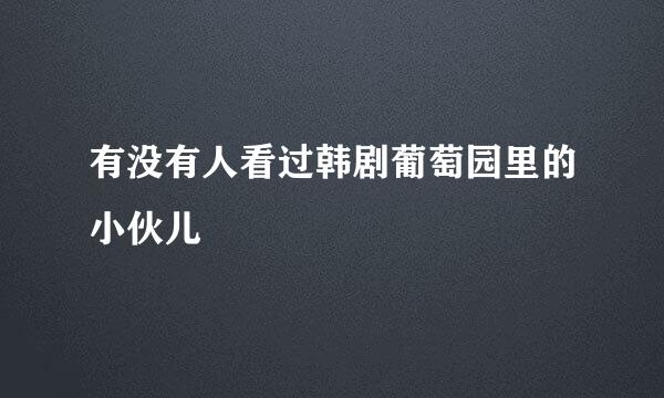 有没有人看过韩剧葡萄园里的小伙儿