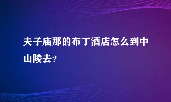 夫子庙那的布丁酒店怎么到中山陵去？