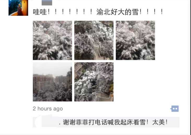 南方的猪第一次见雪兴奋不已，南方人第一次看雪都是啥样？