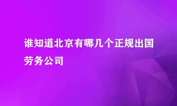 谁知道北京有哪几个正规出国劳务公司