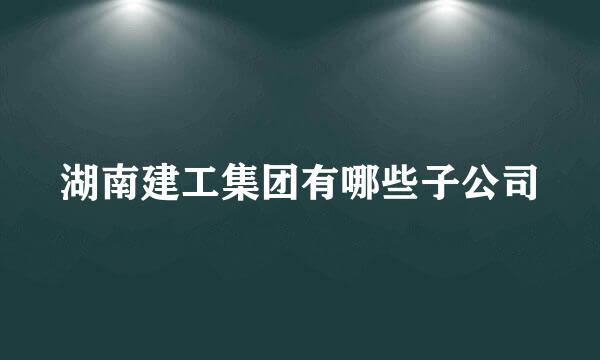 湖南建工集团有哪些子公司