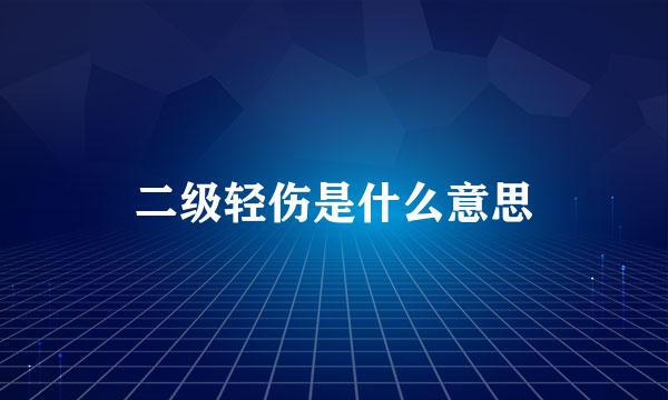 二级轻伤是什么意思