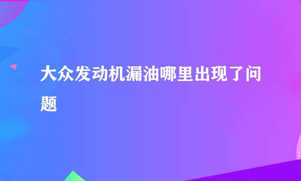 大众发动机漏油哪里出现了问题