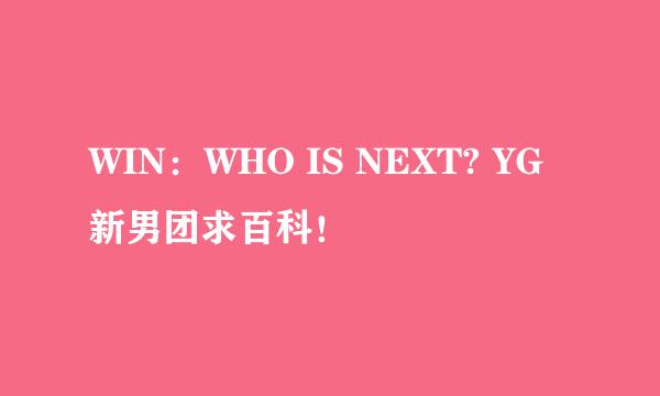 WIN：WHO IS NEXT? YG新男团求百科！