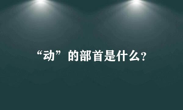 “动”的部首是什么？