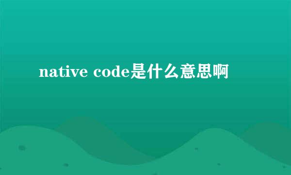 native code是什么意思啊