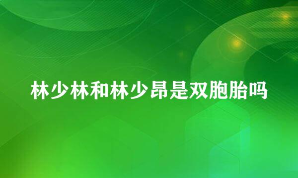 林少林和林少昂是双胞胎吗