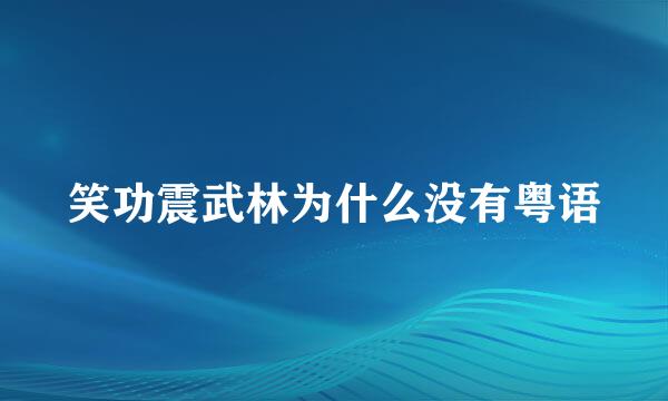 笑功震武林为什么没有粤语