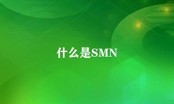 什么是SMN