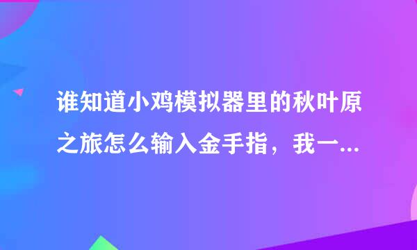 谁知道小鸡模拟器里的秋叶原之旅怎么输入金手指，我一点输入金手指就返回了，谁能告诉我，我真心感谢他，