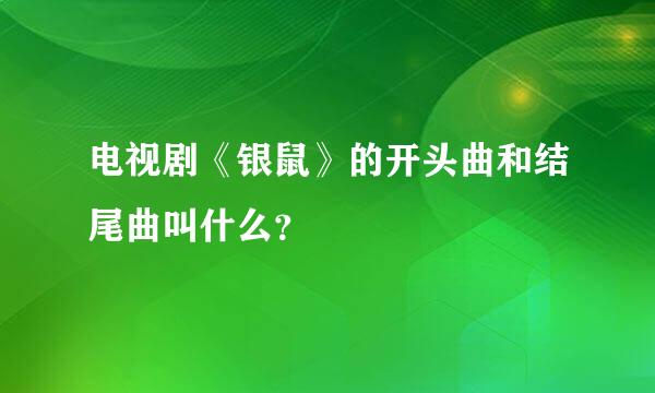 电视剧《银鼠》的开头曲和结尾曲叫什么？