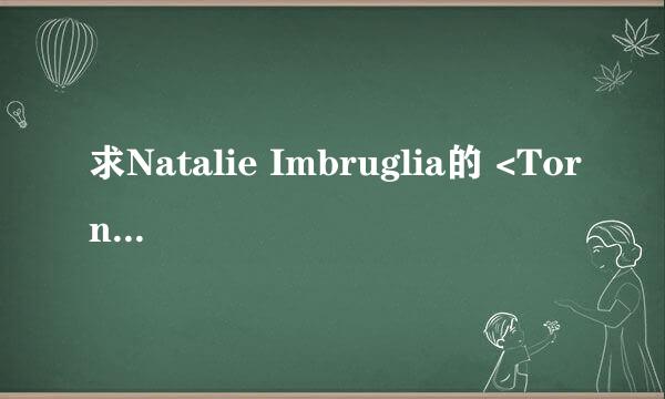 求Natalie Imbruglia的 <Torn>歌词中文翻译