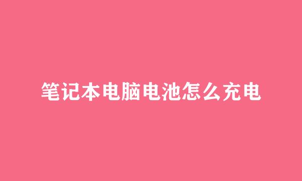 笔记本电脑电池怎么充电