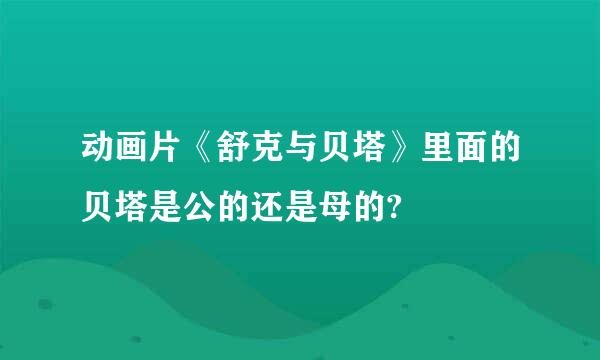 动画片《舒克与贝塔》里面的贝塔是公的还是母的?