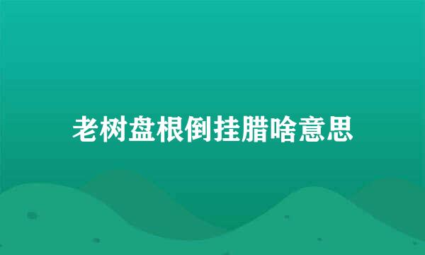 老树盘根倒挂腊啥意思