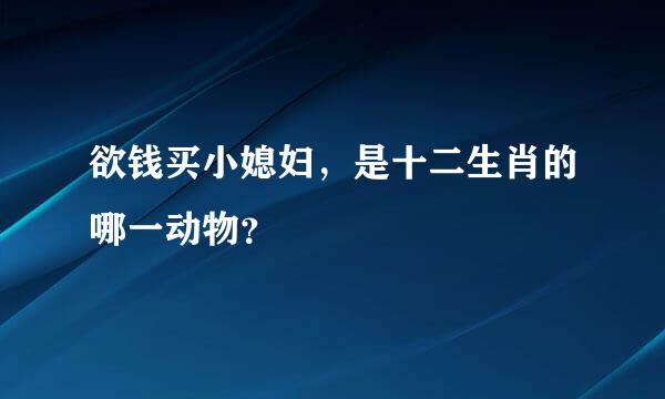 欲钱买小媳妇，是十二生肖的哪一动物？