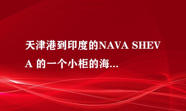 天津港到印度的NAVA SHEVA 的一个小柜的海运费大约多少