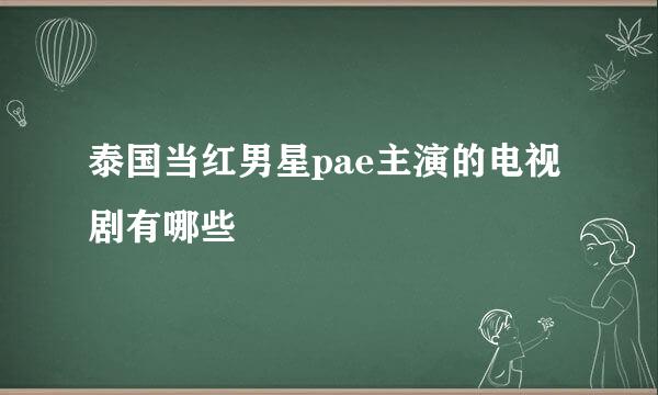 泰国当红男星pae主演的电视剧有哪些