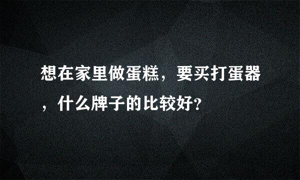 想在家里做蛋糕，要买打蛋器，什么牌子的比较好？