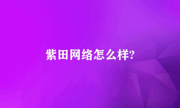 紫田网络怎么样?